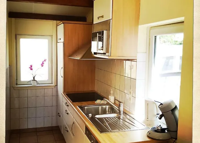 De Munnik Tatil Evi Camperduin
