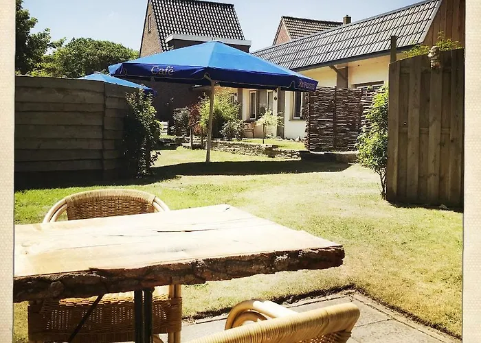 De Munnik Tatil Evi Camperduin