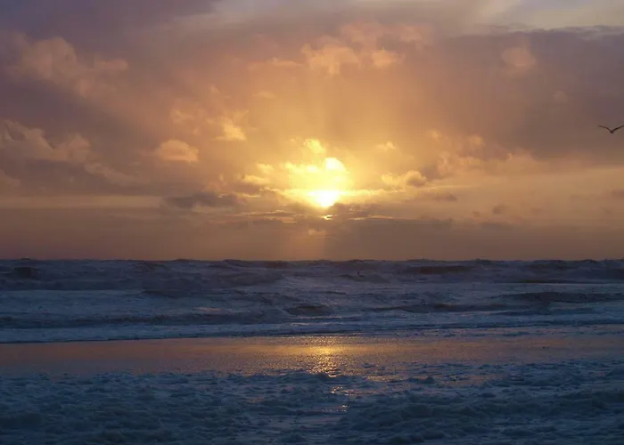 De Munnik Tatil Evi Camperduin